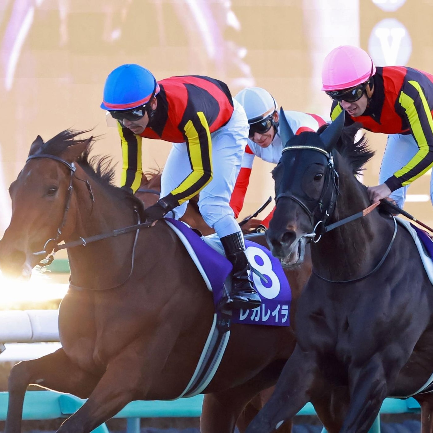 競馬
